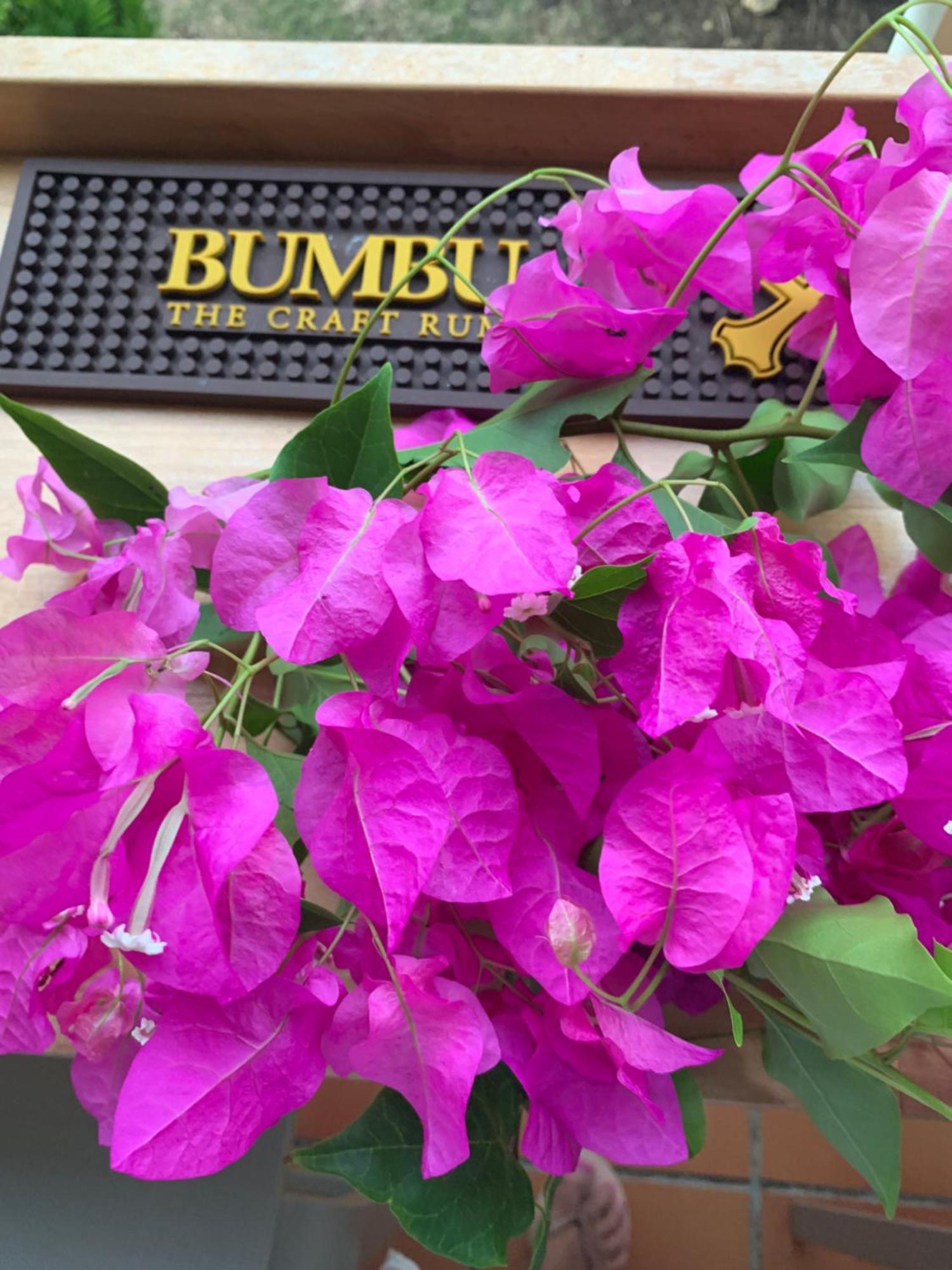 Appartement Bumbu 626 Anse Des Rochers 圣弗朗索瓦 外观 照片