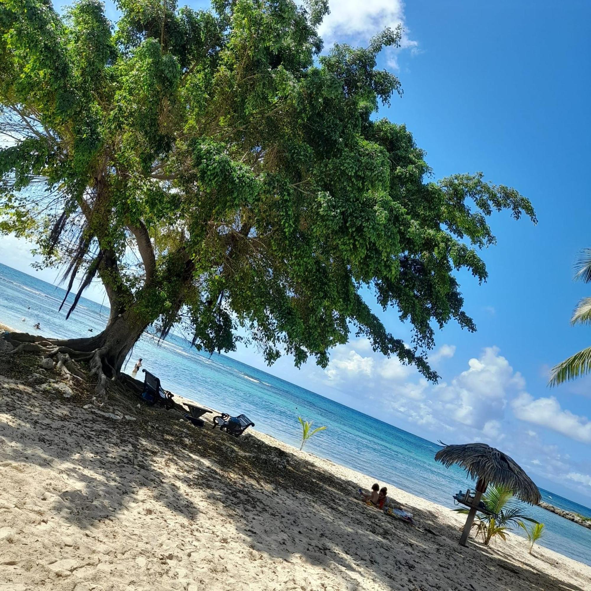 Appartement Bumbu 626 Anse Des Rochers 圣弗朗索瓦 外观 照片